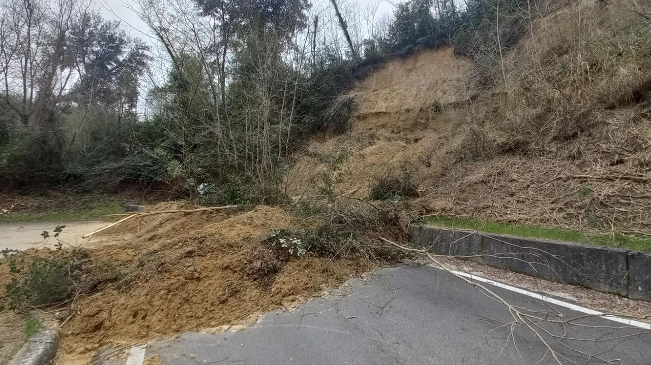 La strada interrotta per un’ampia frana sulla Sp 36 a Palaia. che costringerà la Provincia a un importante intervento di ripristino