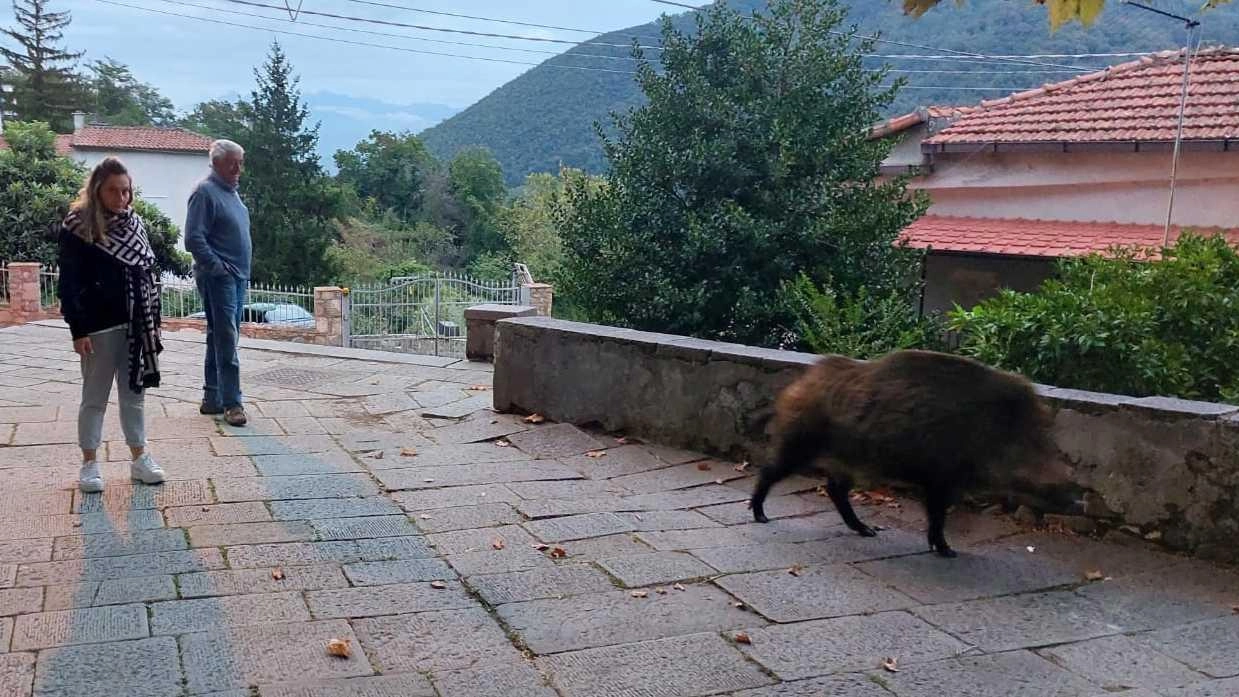 Dalla frazione collinare l’sos anche per una maggiore pulizia e per il restauro della chiesa. E mentre incontriamo gli abitanti, un gigantesco cinghiale passeggia per le vie del paese.