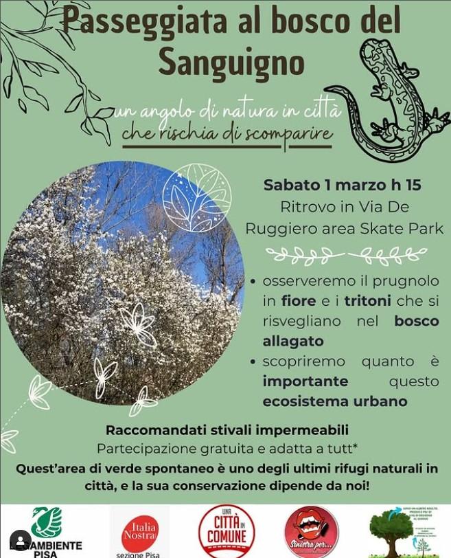 Passeggiata al bosco del Sanguigno: un angolo di natura da salvare