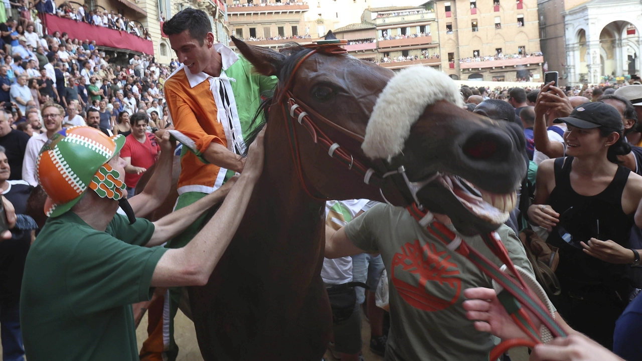 Siena, la regina del Palio dice addio alla Piazza. “Violenta da Clodia farà solo la fattrice”