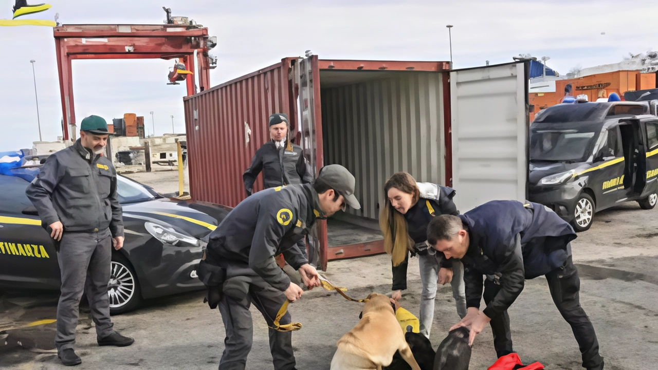 Controlli della guardia di finanza