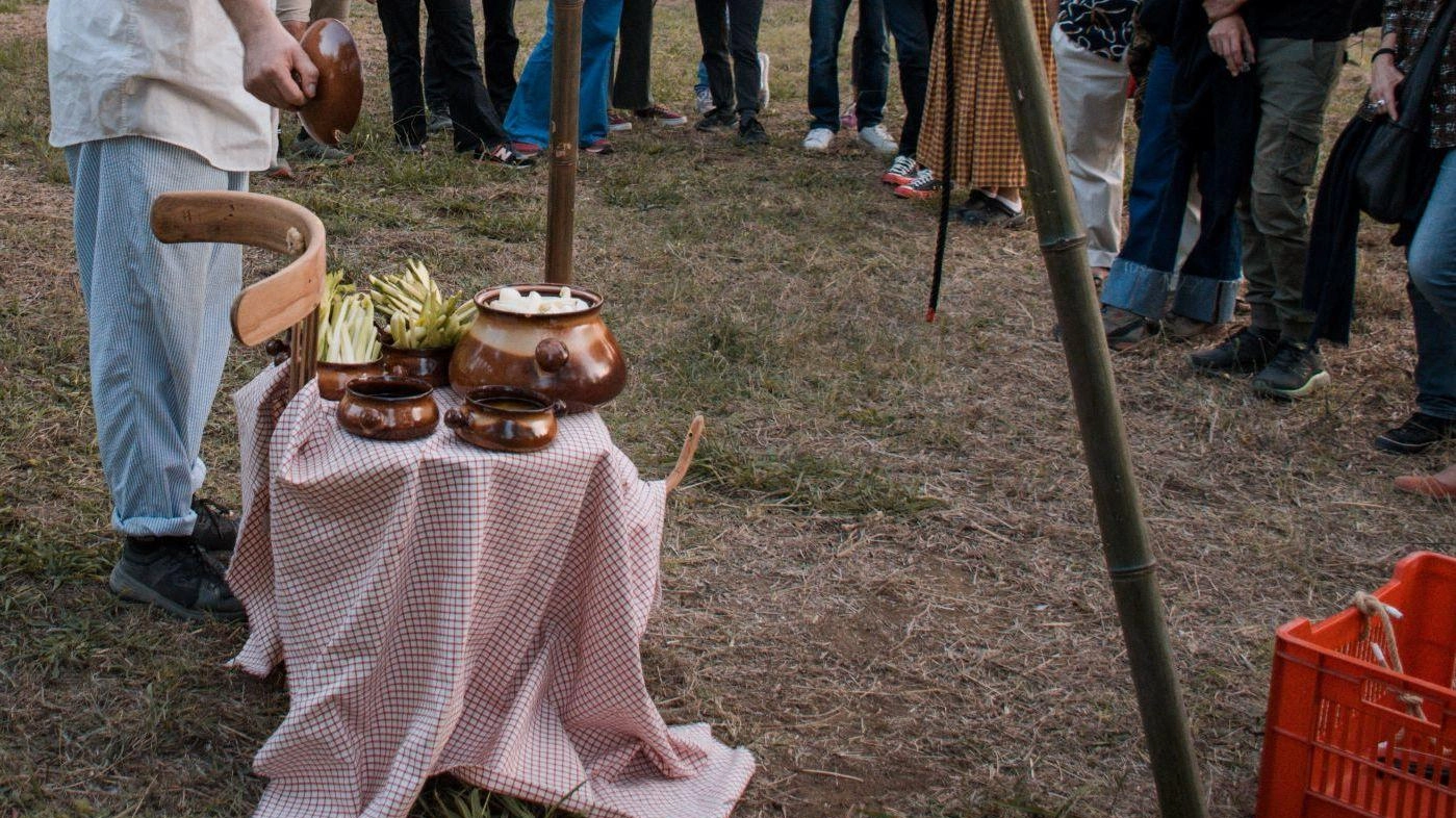 Giungla Festival. Arte e riflessioni in Santa Caterina