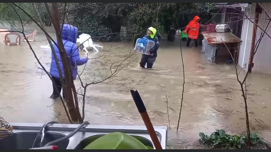 Maltempo, emergenza animali: frana investe un rifugio e il gattile è sommerso dall’acqua