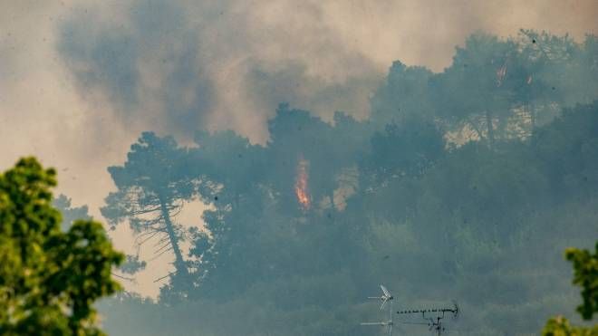 Incendio a Bozzano, le impressionanti foto del rogo vicino Massarosa (Foto Umicini)