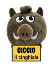 Ciccio